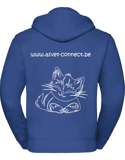 Pull_kangourou_arr-CHAT.webp